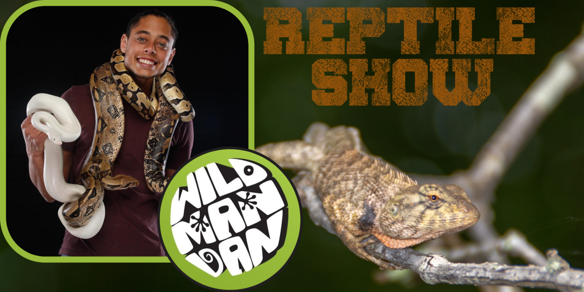 Wild Man Dan holding snakes