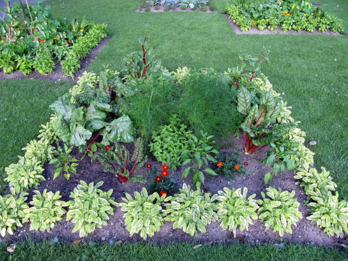 Photo of a front yard landscaped with edible plants
