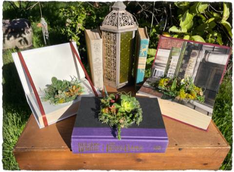 Succulent Mini Garden in a Book