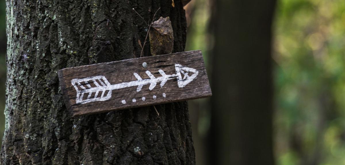 Wooden sign with right pointing arrow in a forest