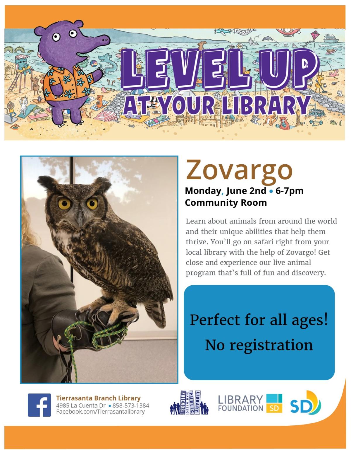 Flyer with the image of a real live brown owl
