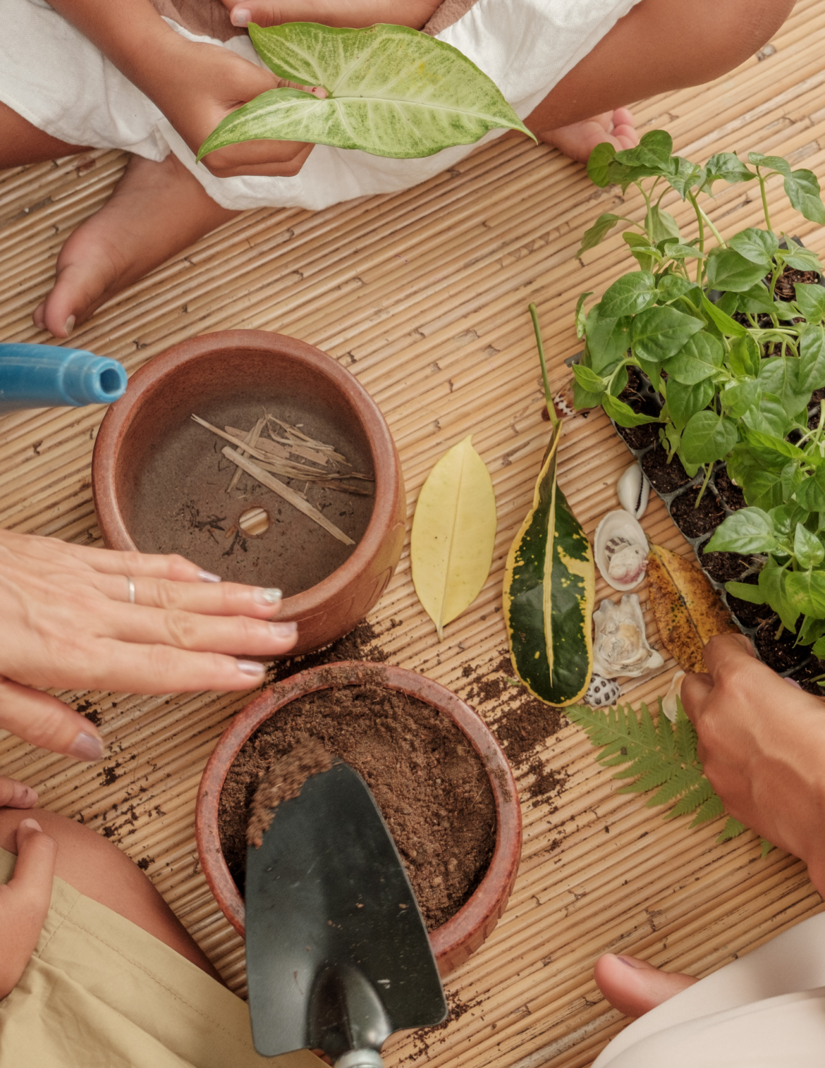 hands putting soil into small pots