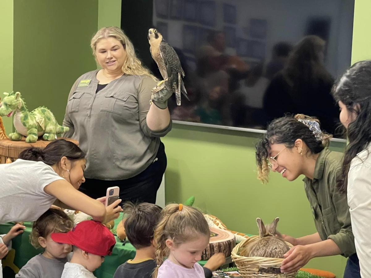 woman holding a raptor on her wrist