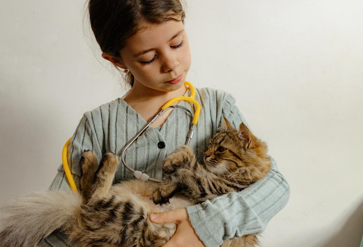 Girl playing vet with cat in arms