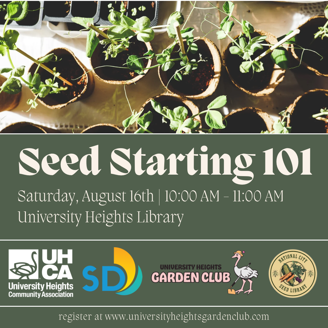 Seed Starting 101 Flyer