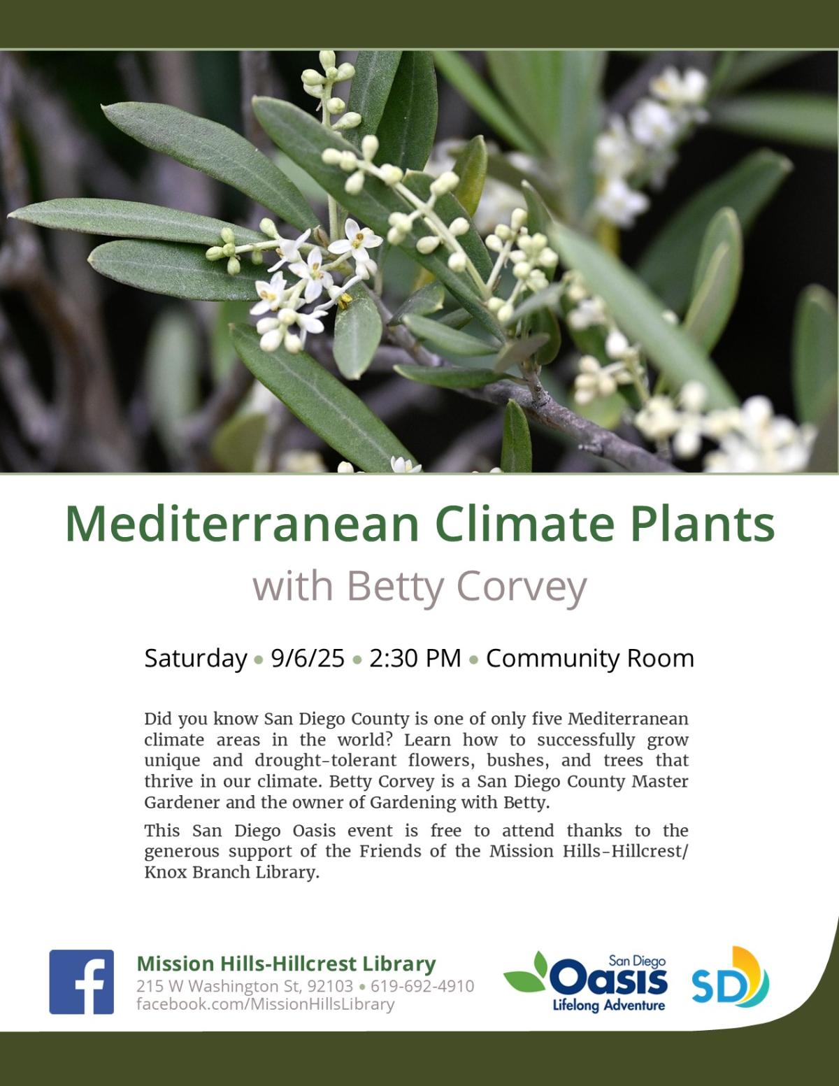 Flyer with event details and photo of olive tree branch