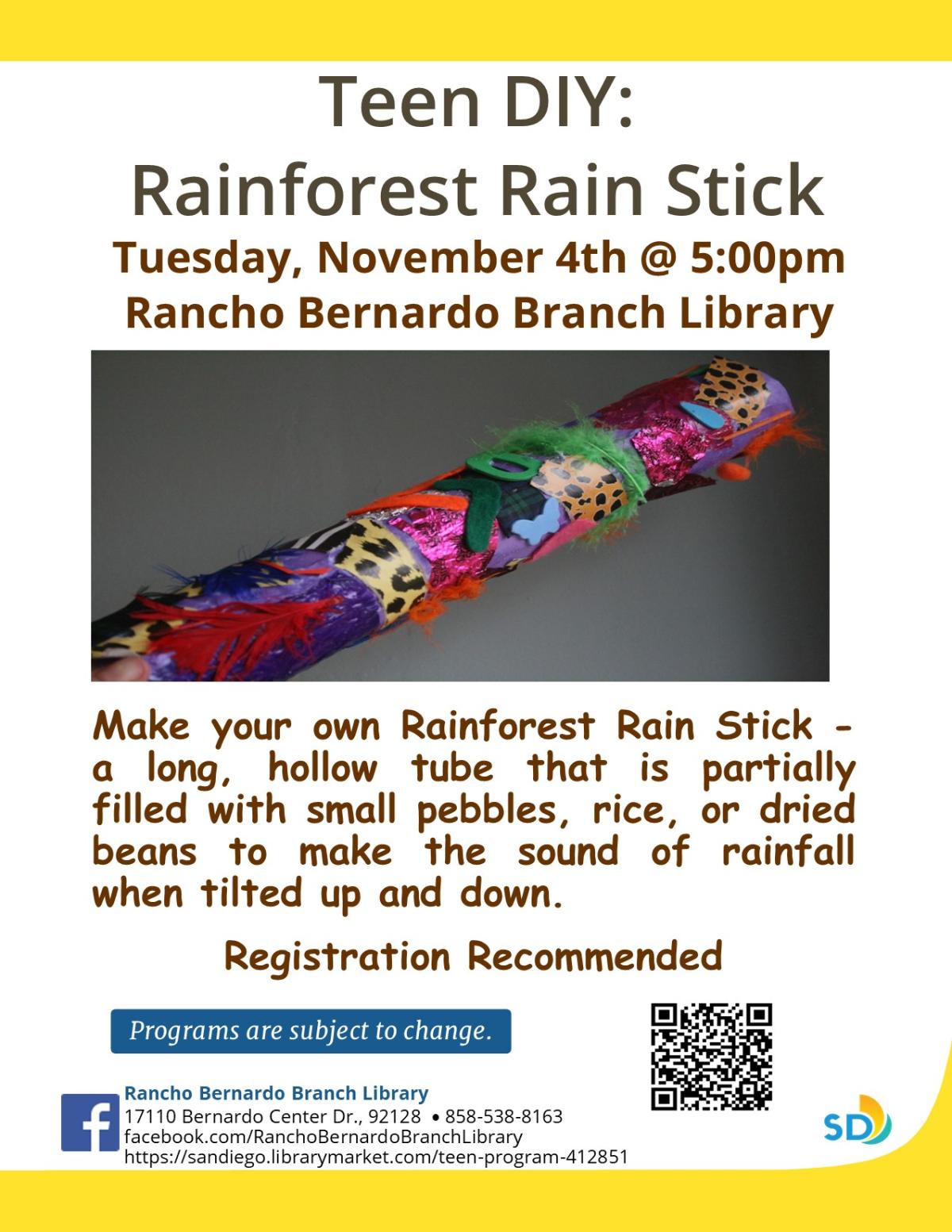 Teen DIY Rain Stick Flyer