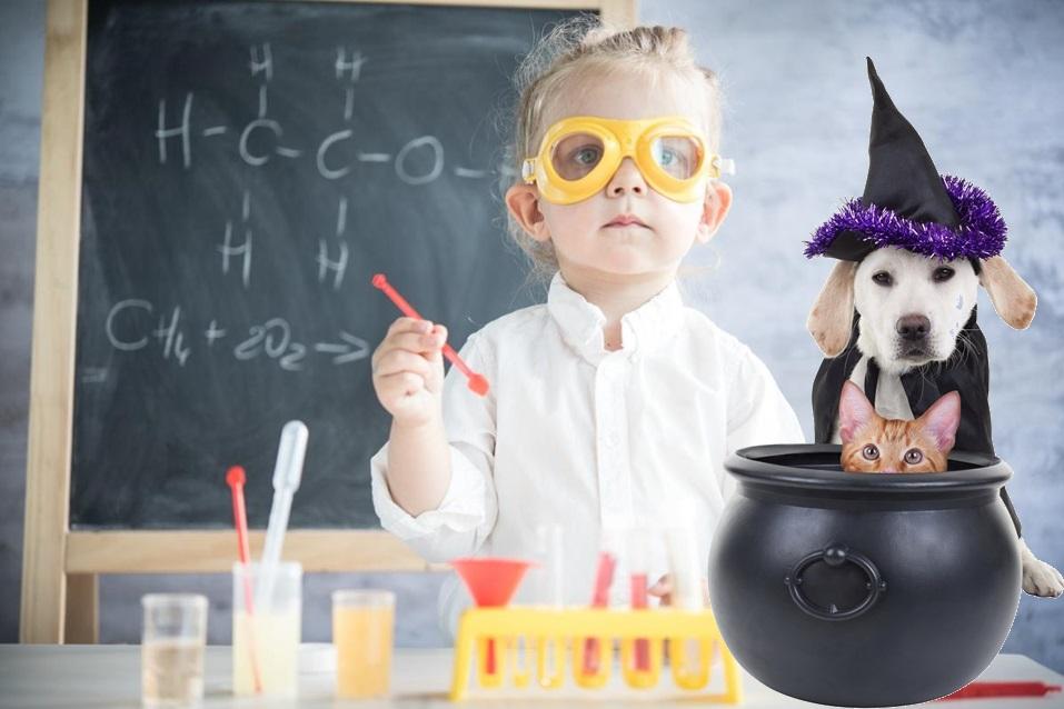 Super Spooky Science Saturday