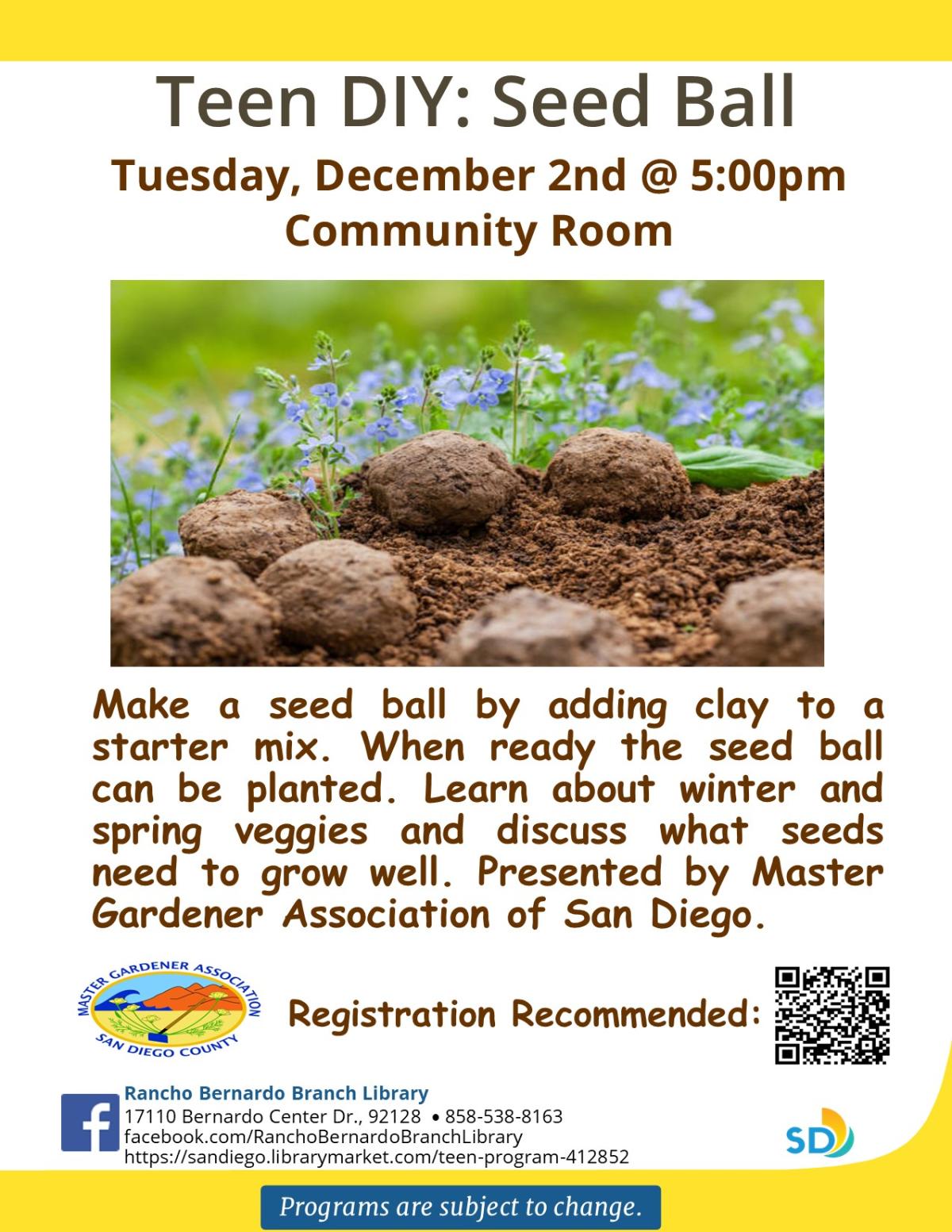 Teen DIY Seed Ball Flyer