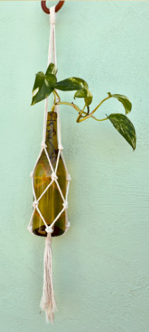 macrame wine bottle pothos hanger
