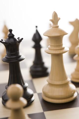 Chess pieces on a board