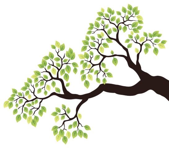 Drawing of a tree branch with green leaves